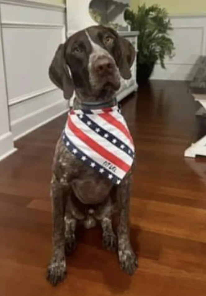 FIT LIFE "PUPPY POWER" Flag Bandana