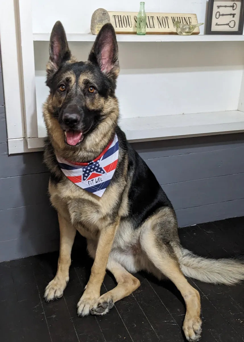 FIT LIFE "PUPPY POWER" Flag/Star Bandana