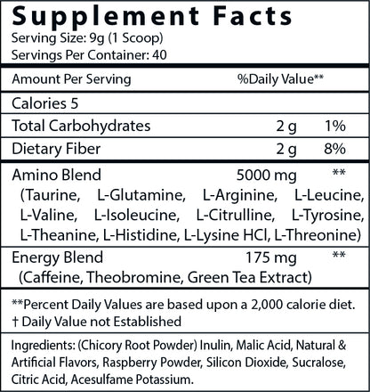 "NO EXCUSES" ENERGIZED AMINOS - Raspberry Iced Tea